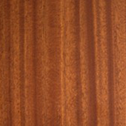 Mahogni Sapele